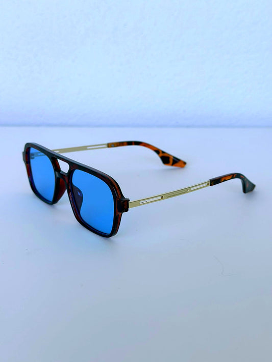 Blue & Leopard Print Aviator Style Glasses